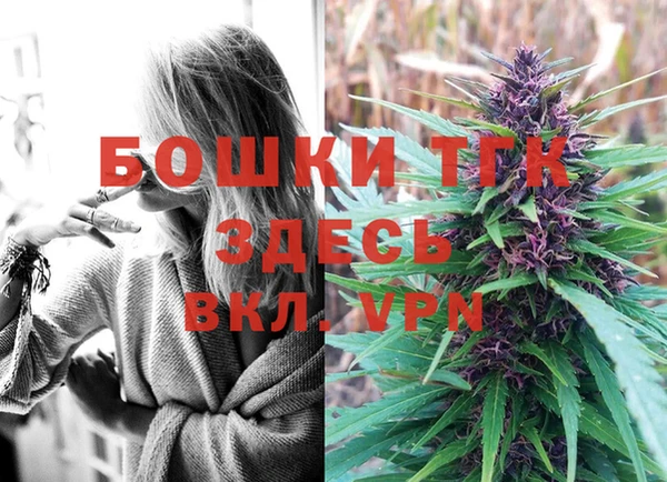 PSILOCYBIN Алексеевка