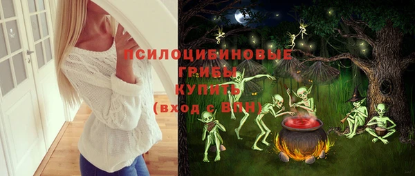 не бодяженный Алзамай