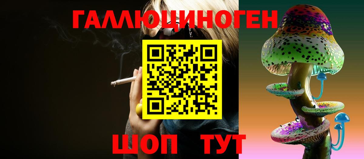 Карасук  Псилоцибиновые грибы мицелий  Вход с VPN 